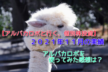 【アルパカロボ（Alpaca ROBO）】2021.11月の実績　実際に使った感想は？