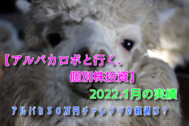 【アルパカロボ（Alpaca ROBO）】2022.1月の実績　アルパカ３０万円チャレンジの経過